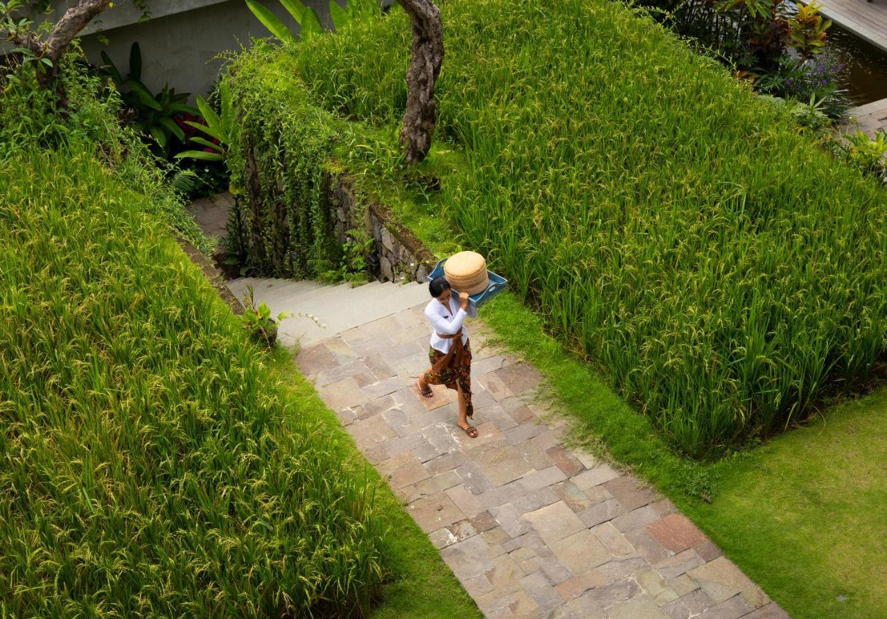 Adiwana Suweta Hotell Ubud Exteriör bild A farmer in Bali